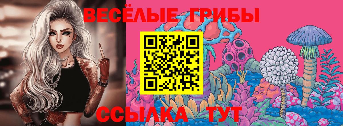Псилоцибиновые грибы MAGIC MUSHROOMS  Вход с VPN  Мариинск  Галлюциногенные грибы Psilocybe 