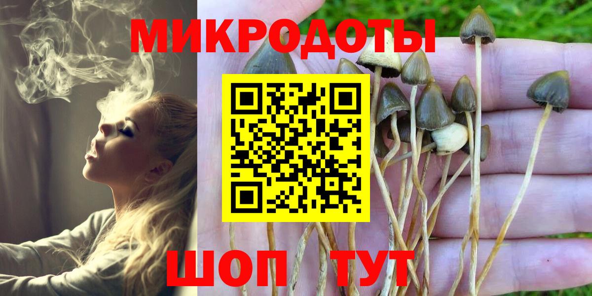 Галлюциногенные грибы прущие грибы Мариинск